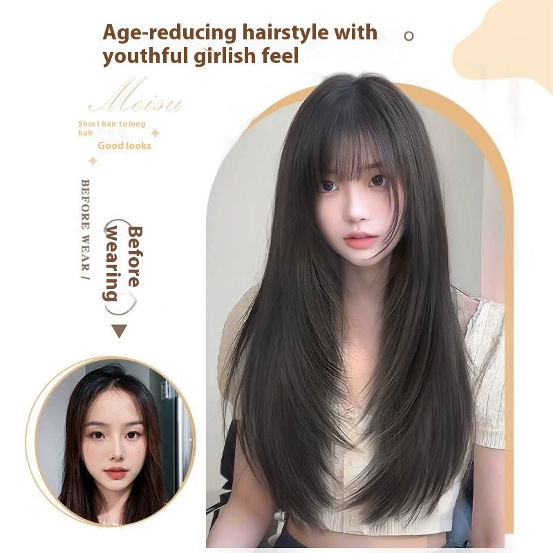 Wig Women's Wear-free Hair Net Full-head Wig Black Long Straight High Layered