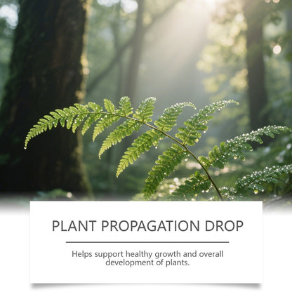 Promote Root Nutrition Growth General Hydrating Maintenance Flower Cultivation Plant Nutrition Drops