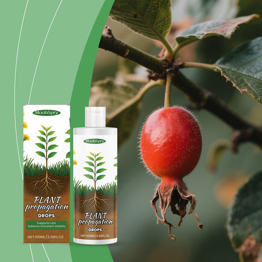 Promote Root Nutrition Growth General Hydrating Maintenance Flower Cultivation Plant Nutrition Drops