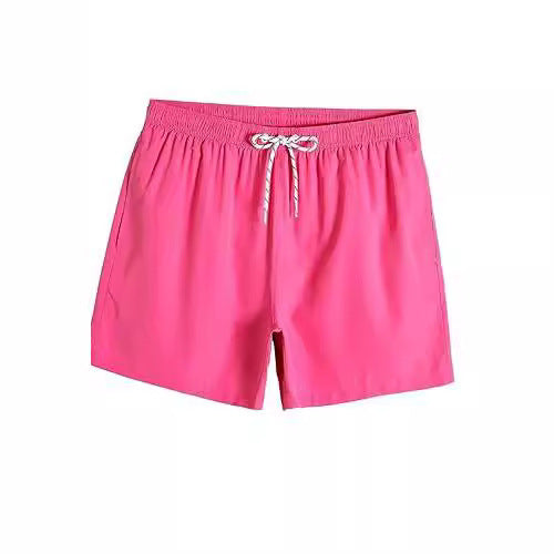 New Mesh Beach Shorts Casual Men's Clothing
