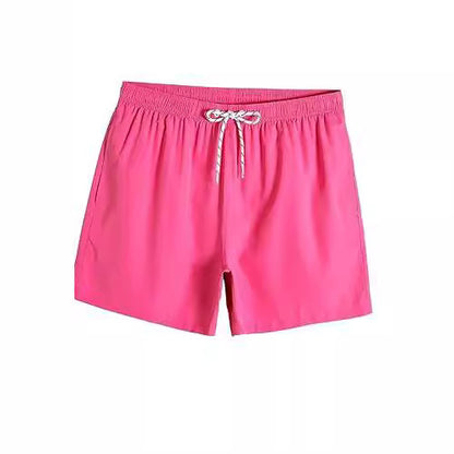 New Mesh Beach Shorts Casual Men's Clothing