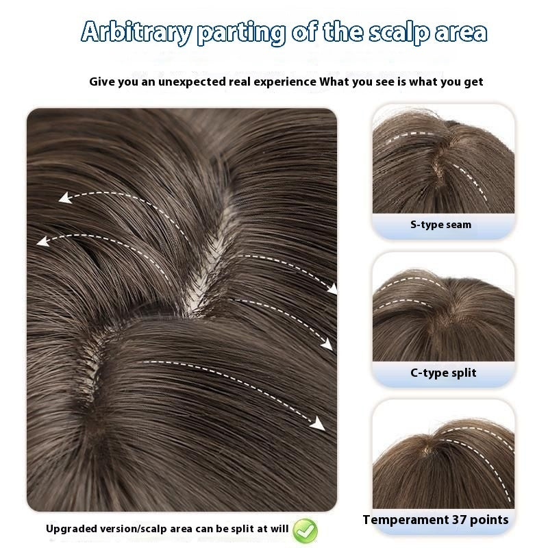 Wig Female Temperament Filbert Gray Brown Big Wave Daily